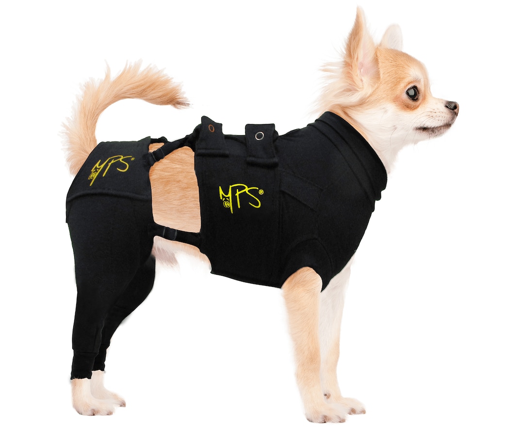 MPS Protective Hinterbeinschutz_0