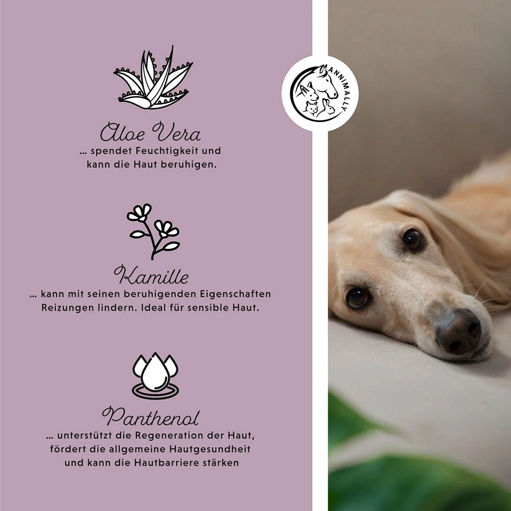 Annimally Augenpads_3