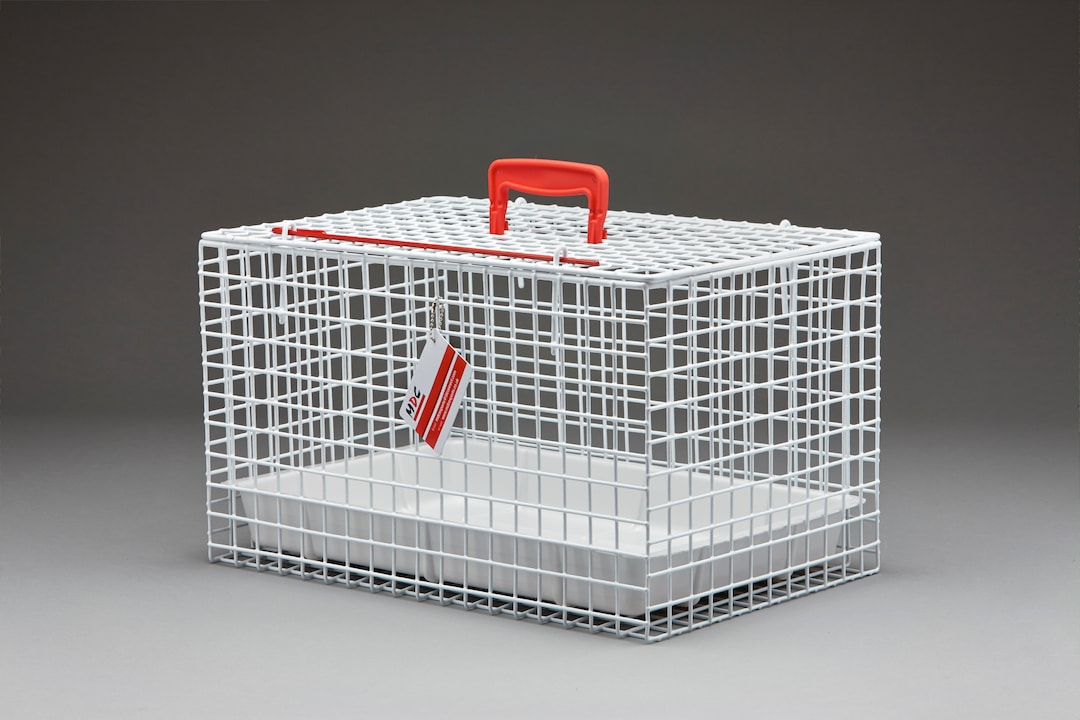 Katzenkäfig farbig_1