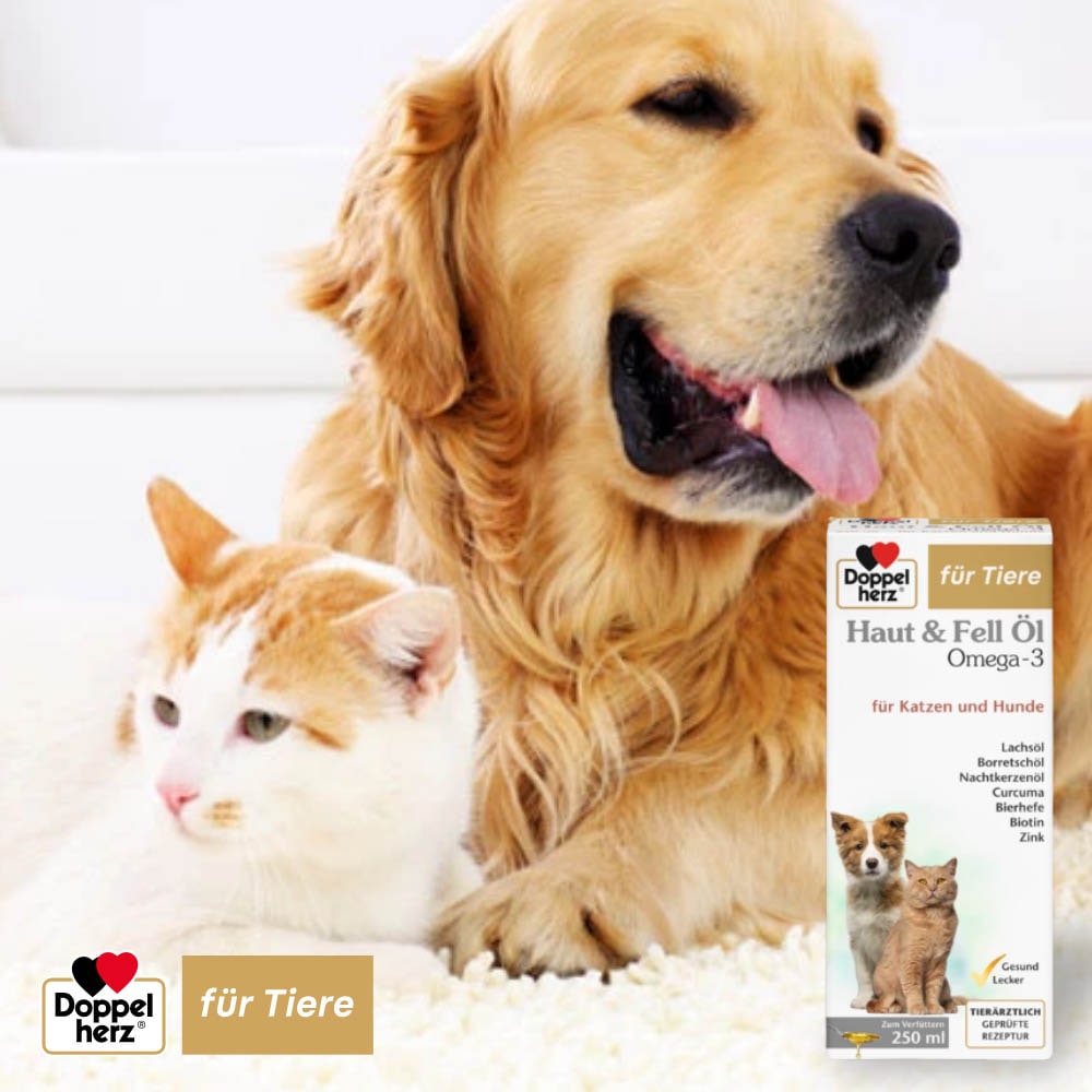 Doppelherz Haut und Fell Öl für Hunde und Katzen _5