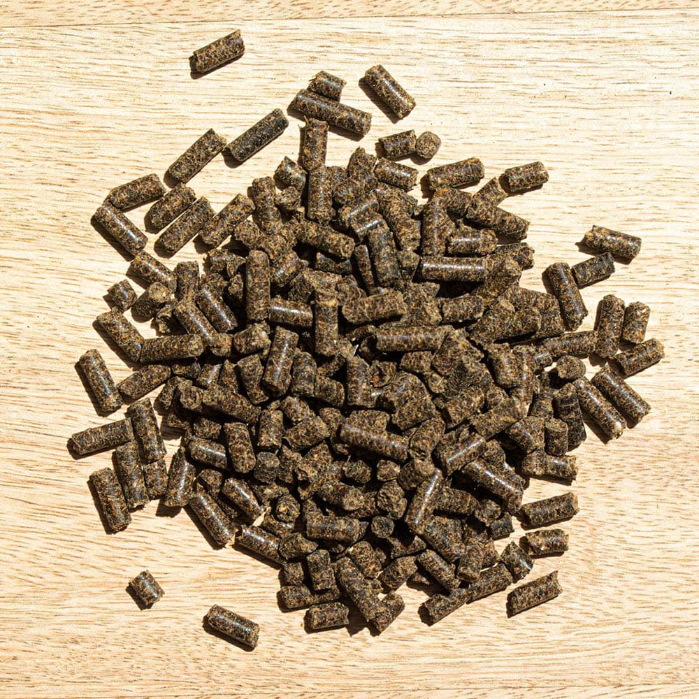 St. Hippolyt Hesta plus Eisen_1