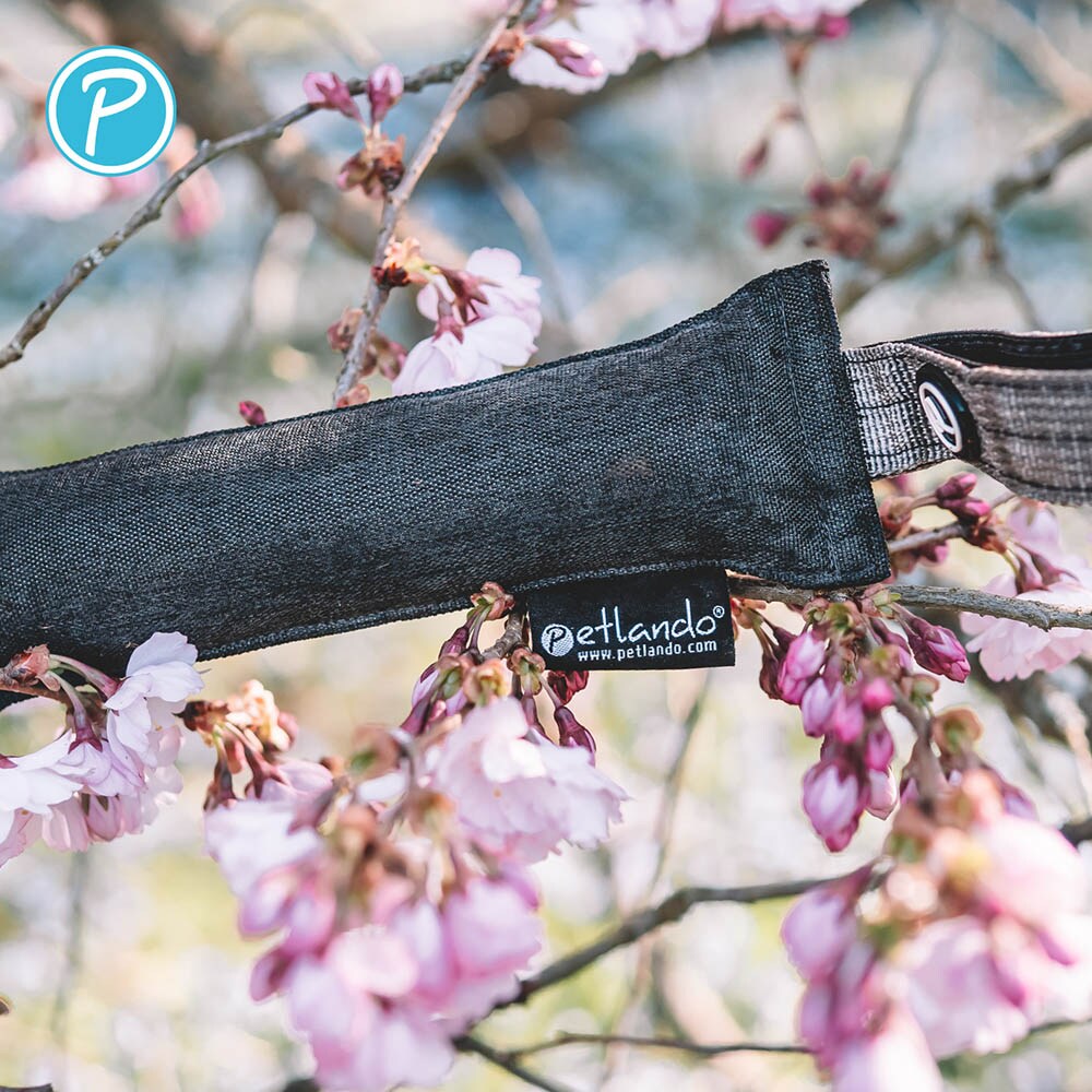 Petlando Everest Trainingsdummy grau_3