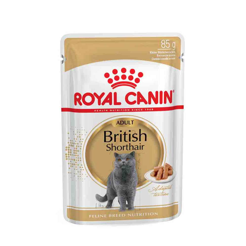 Royal Canin British Shorthair Adult Katzenfutter nass für Britisch Kurzhaar_1