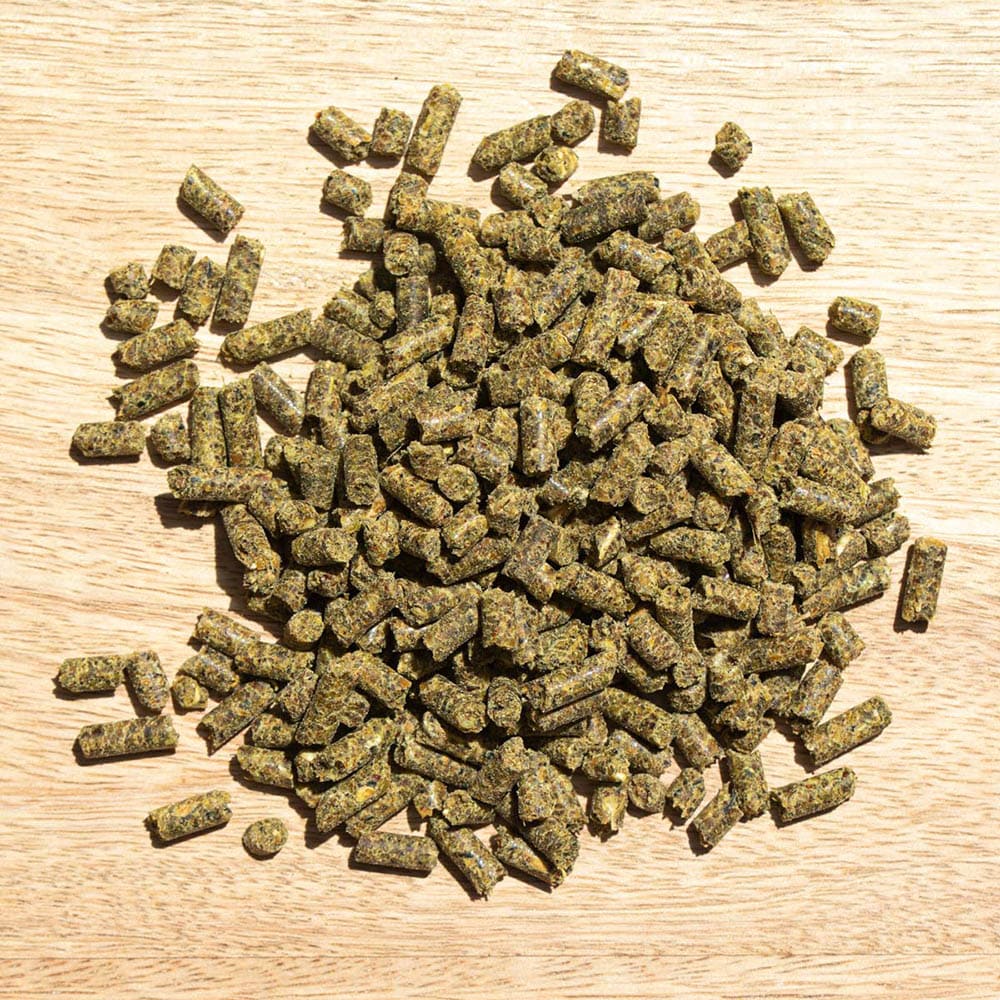 St. Hippolyt Hesta plus Kupfer_1