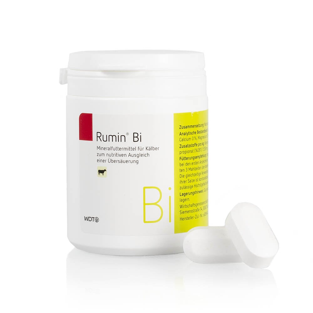 WDT Rumin Bi_0