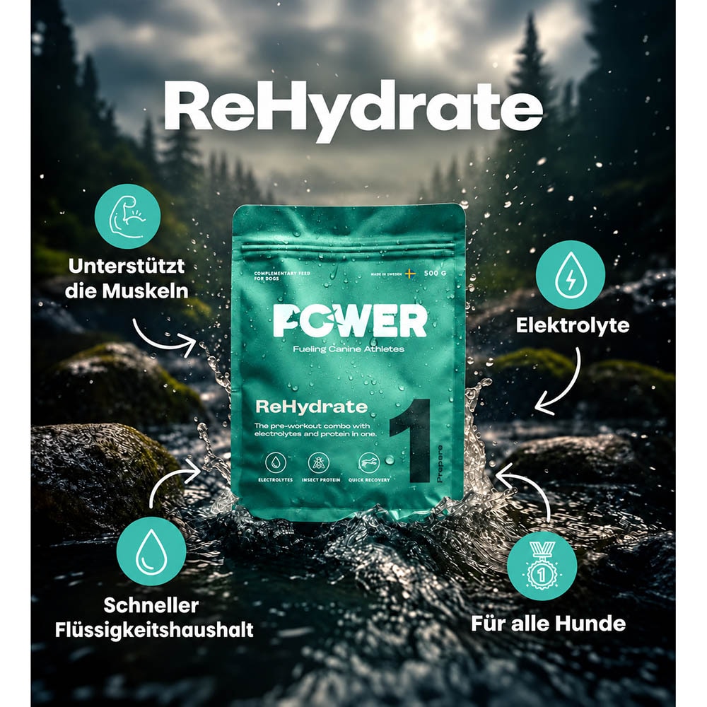 European Pet Pharmacy ReHydrate – Elektrolyte für Hunde_2