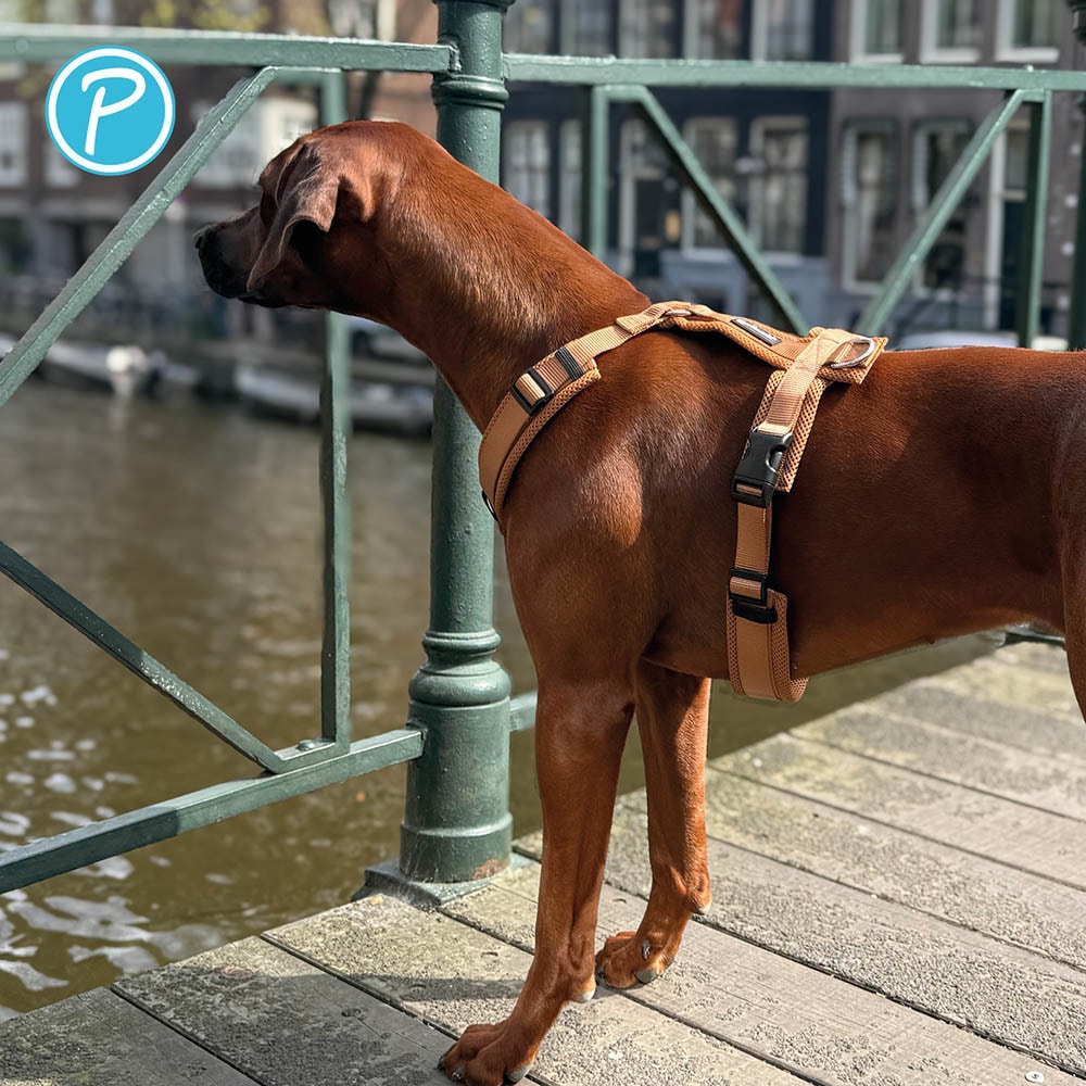 Petlando Mesh Y-Comfort Geschirr cognac_4