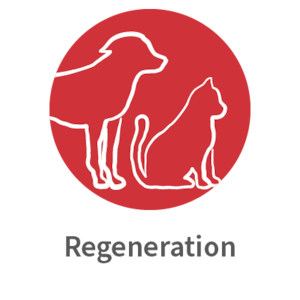 Bilder für Hersteller Regeneration