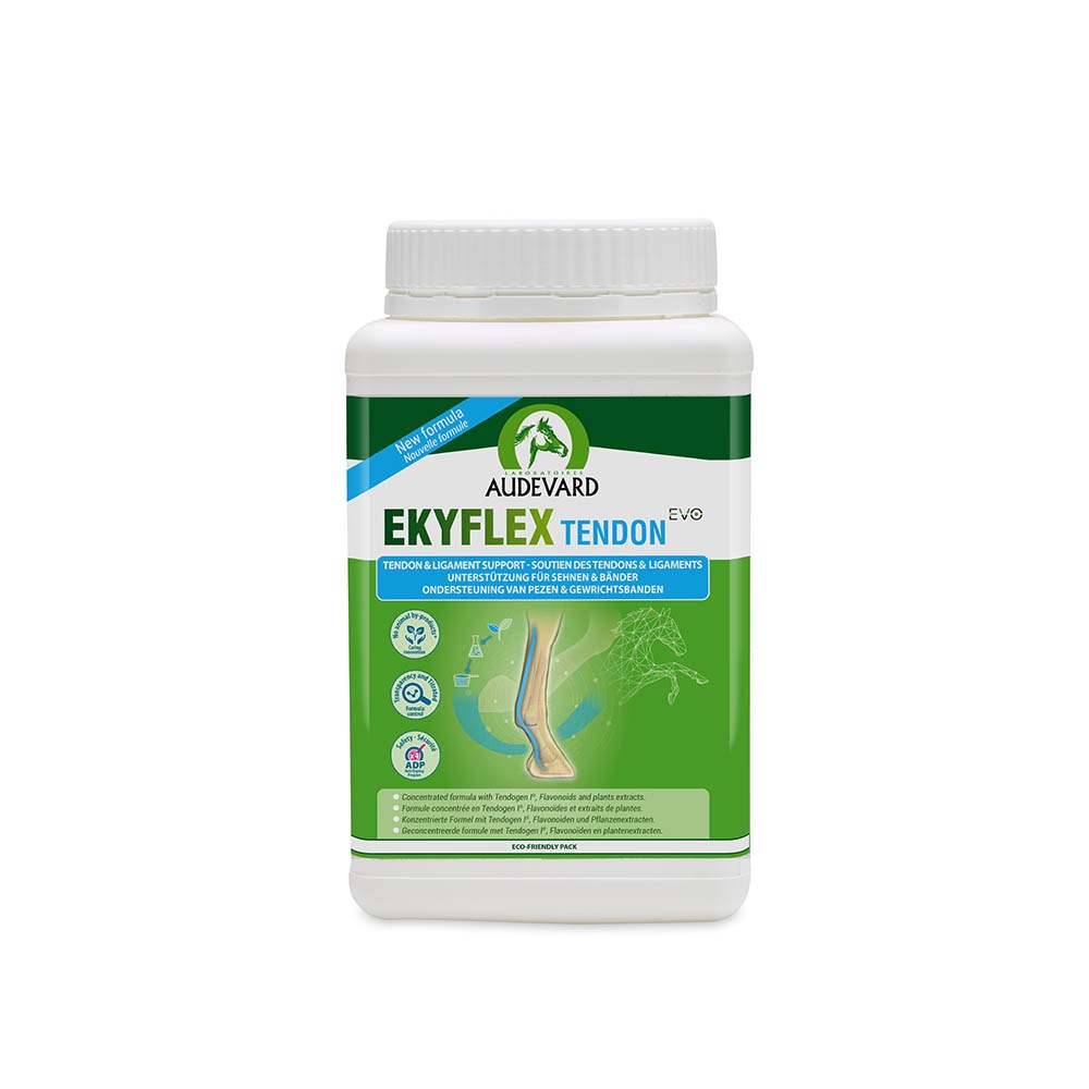 Audevard Ekyflex Tendon EVO_0