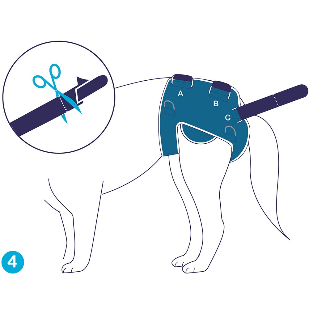 Balto Rehab BT Life_5