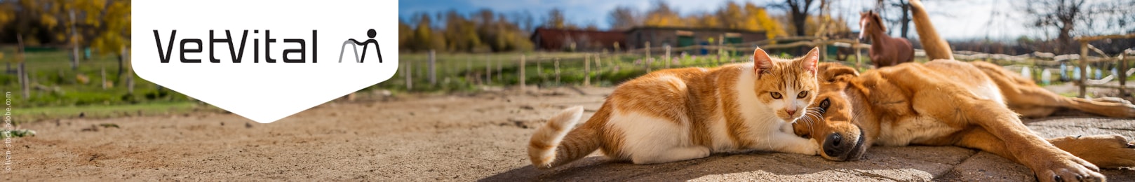VetVital