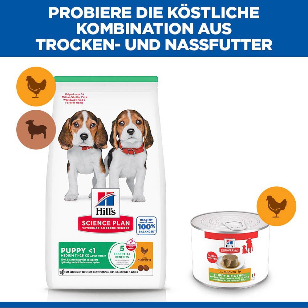 Hills Science Plan Puppy & Mother Tender Mousse mit Huhn_5