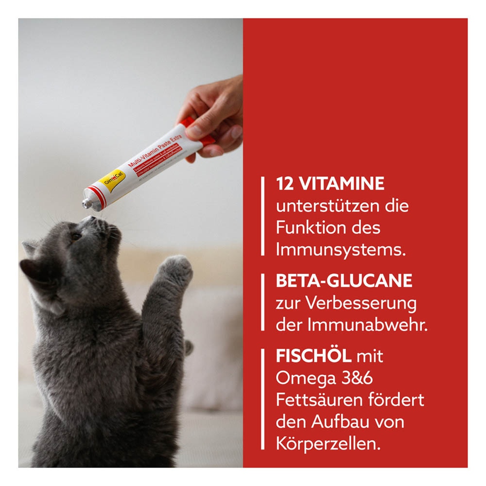 GimCat Multi-Vitamin Paste Extra_2
