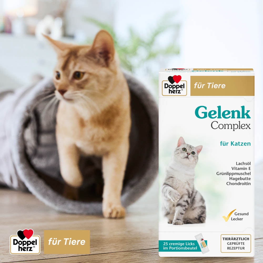 Doppelherz Gelenk Complex für Katzen_4