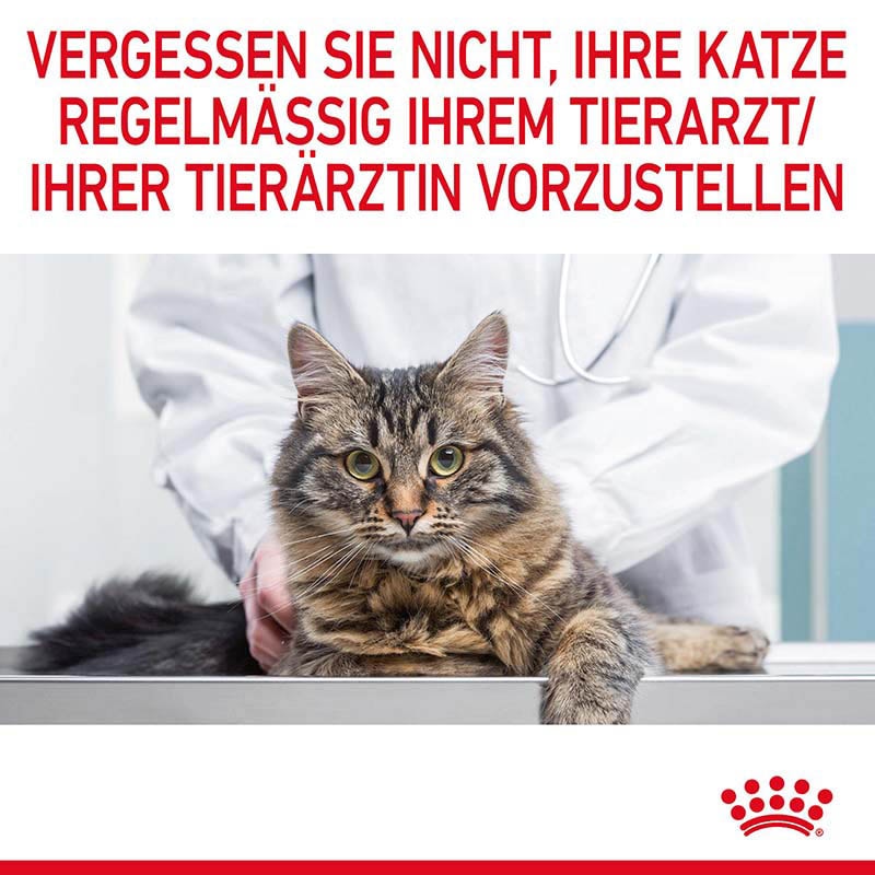 Royal Canin Urinary Care Nassfutter für Katzen in Soße zur Unterstützung der Harnwege_7