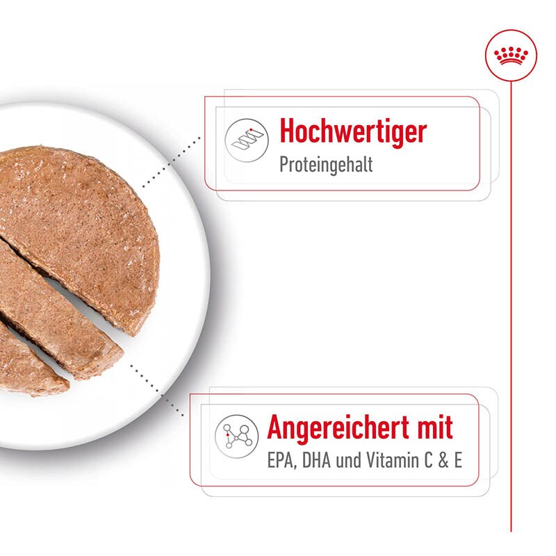 Royal Canin Medium Ageing Feuchtnahrung als Mousse (>7. Lebensjahr)_2