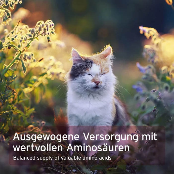 AniForte Taurin Pulver für Katzen_4