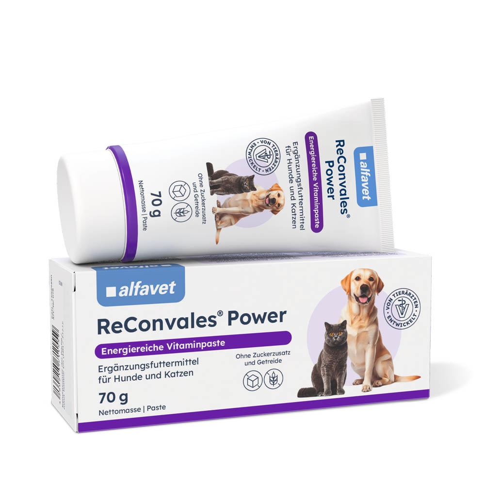 Alfavet ReConvales Power_0