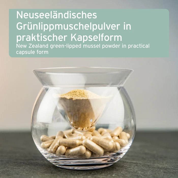 AniForte Grünlippmuschel Kapsel_2