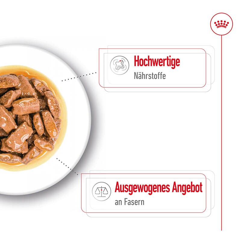 Royal Canin Maxi  Adult  Feuchtnahrung als Stückchen in Soße (>15. Lebensmonat)_2
