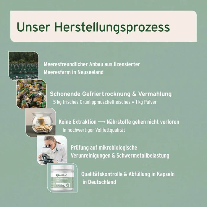 AniForte Grünlippmuschel Kapsel_5