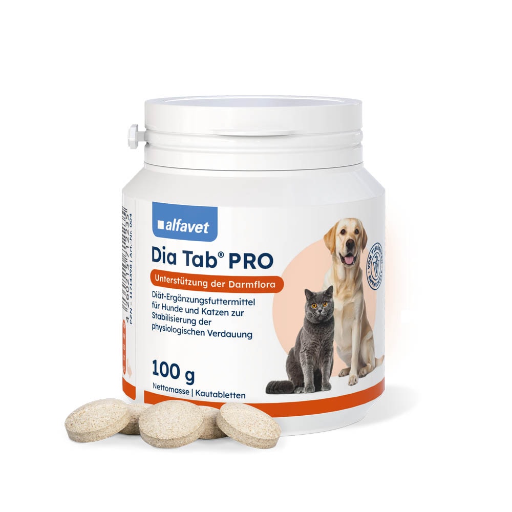Alfavet Dia Tab PRO_0