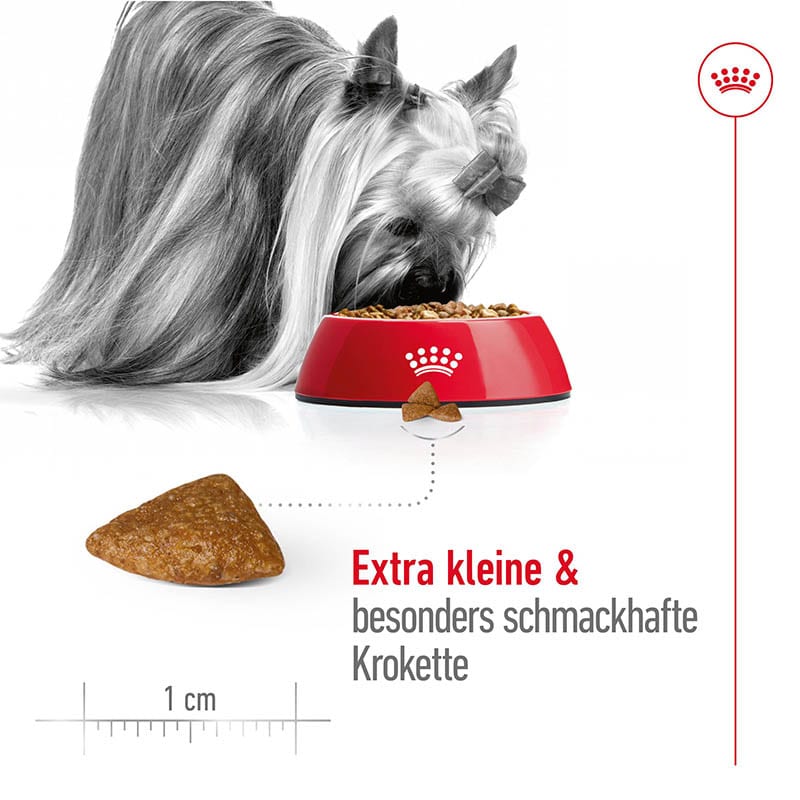 Royal Canin X-Small Ageing 12+ Trockenfutter für ältere sehr kleine Hunde_3