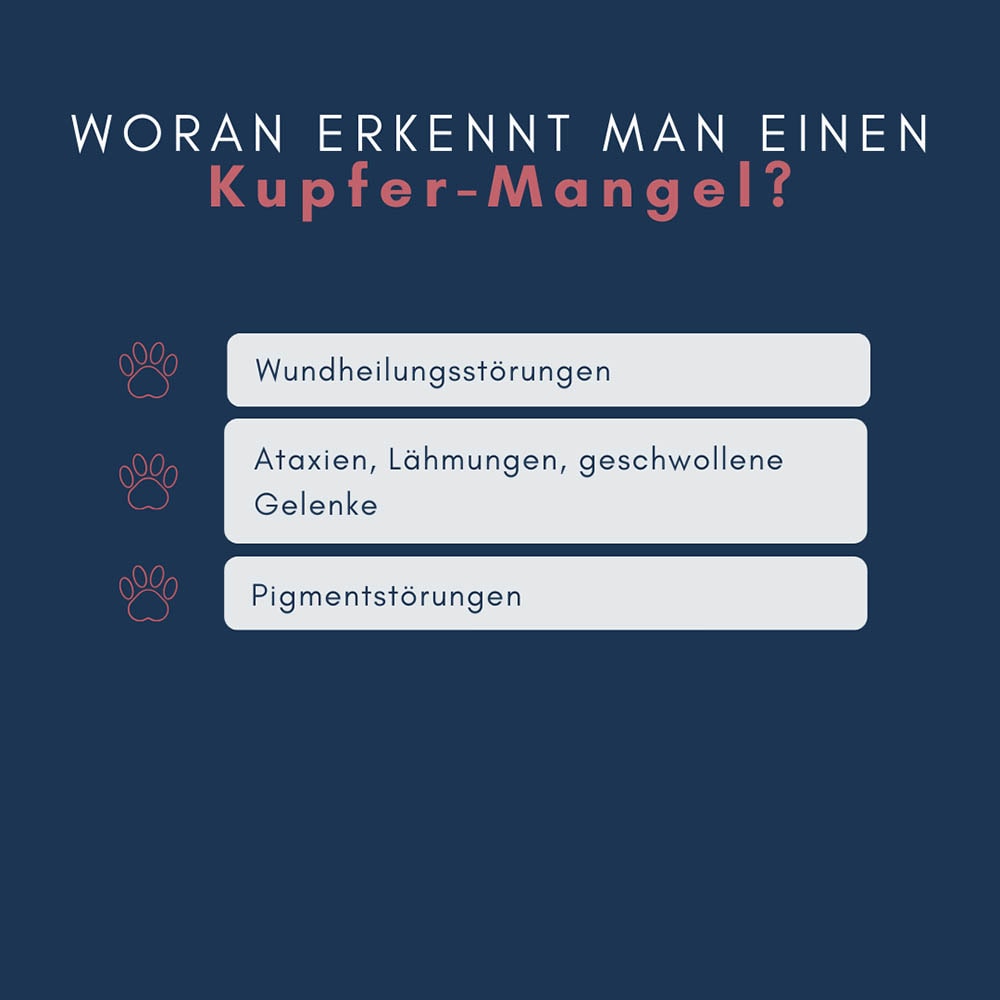 navalis orthosal Kupfer Dog Pulver_3