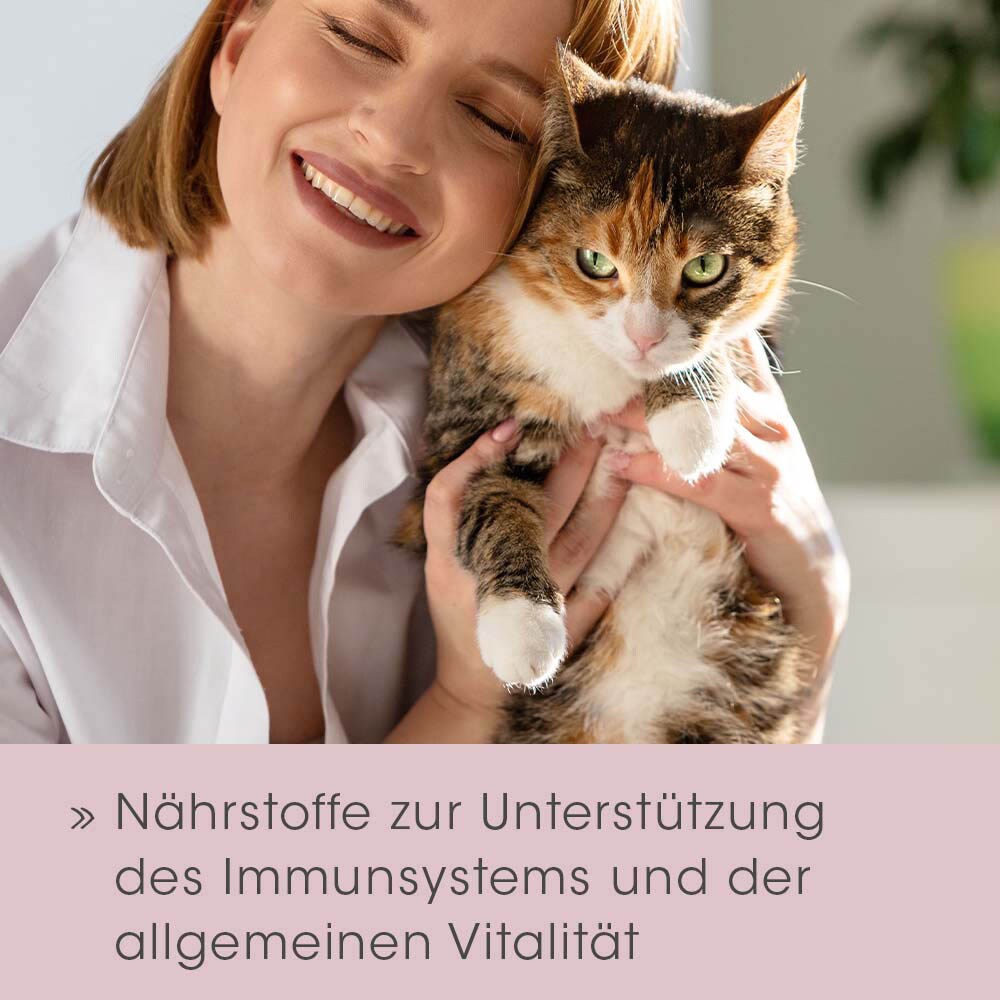 cdVet feliTATZ ImmunKraft_3