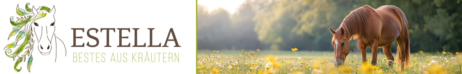 ESTELLA Kräutersäfte