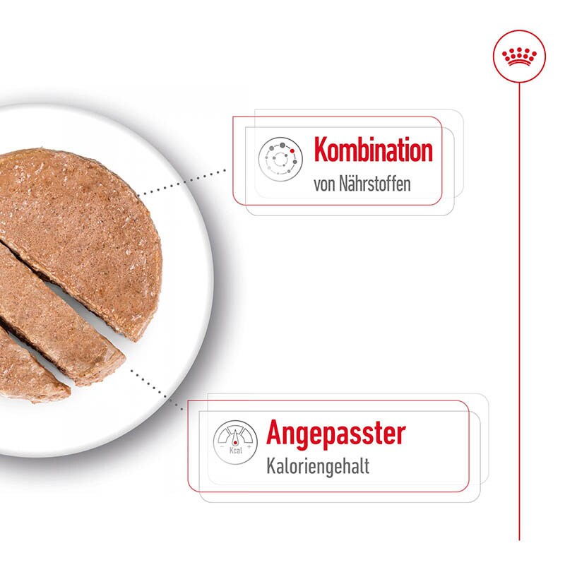Royal Canin Mini Ageing Feuchtnahrung als Mousse (>8. Lebensjahr)_2