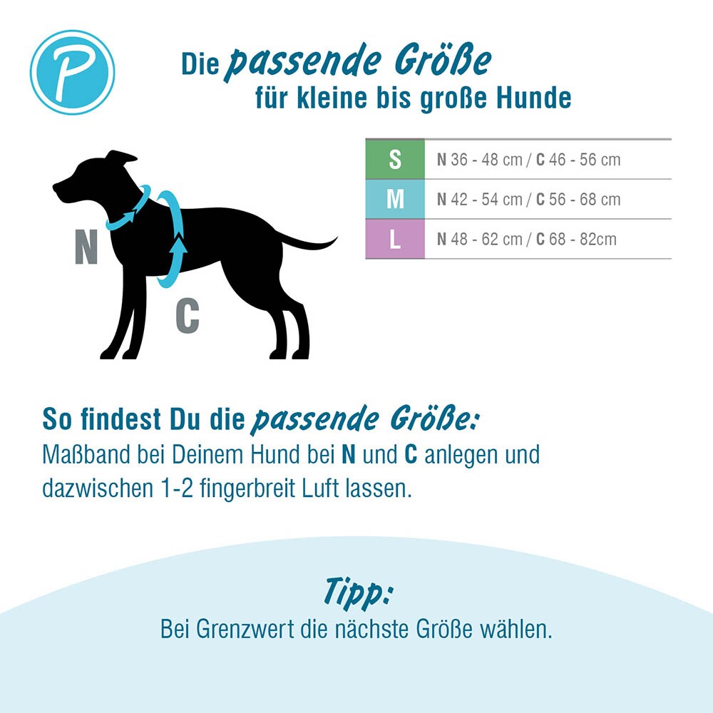 Petlando Magnetech Geschirr anthrazit/petrol_4