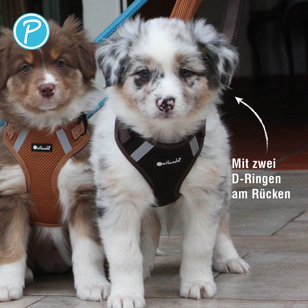 Petlando Mesh Vest Geschirr mokka_4