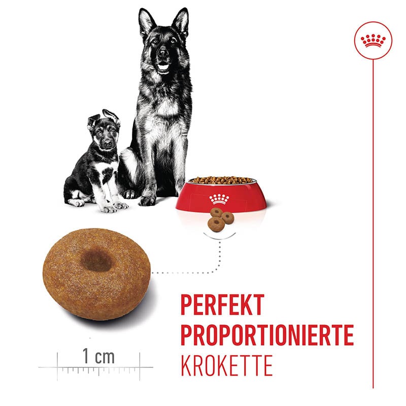 Royal Canin Maxi Starter für tragende Hündin und Welpen großer Rassen_3