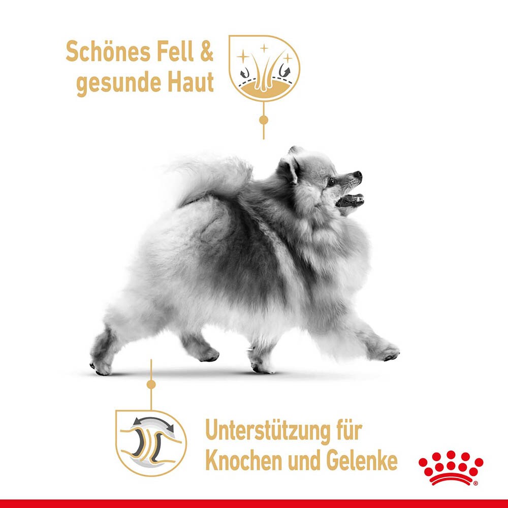 Royal Canin Breed Pomeranian Feuchtnahrung für Zwergspitze als Mousse (>8 Monate)_3