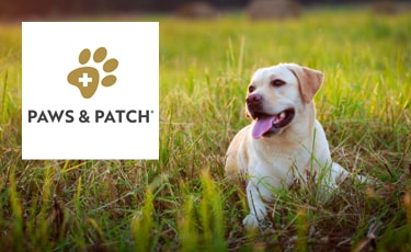 PAWS & PATCH PAWS & PATCH