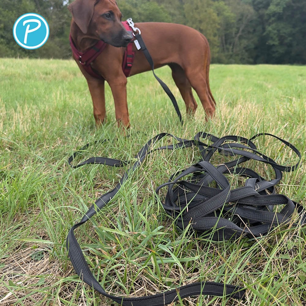 Petlando Gummierte Schleppleine schwarz_3