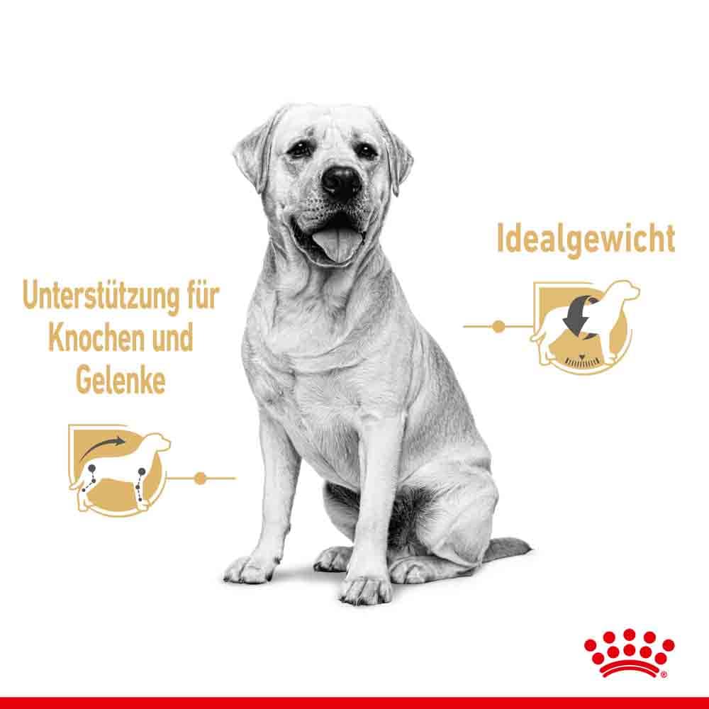 Royal Canin Labrador Retriever Adult Stückchen in Soße _2