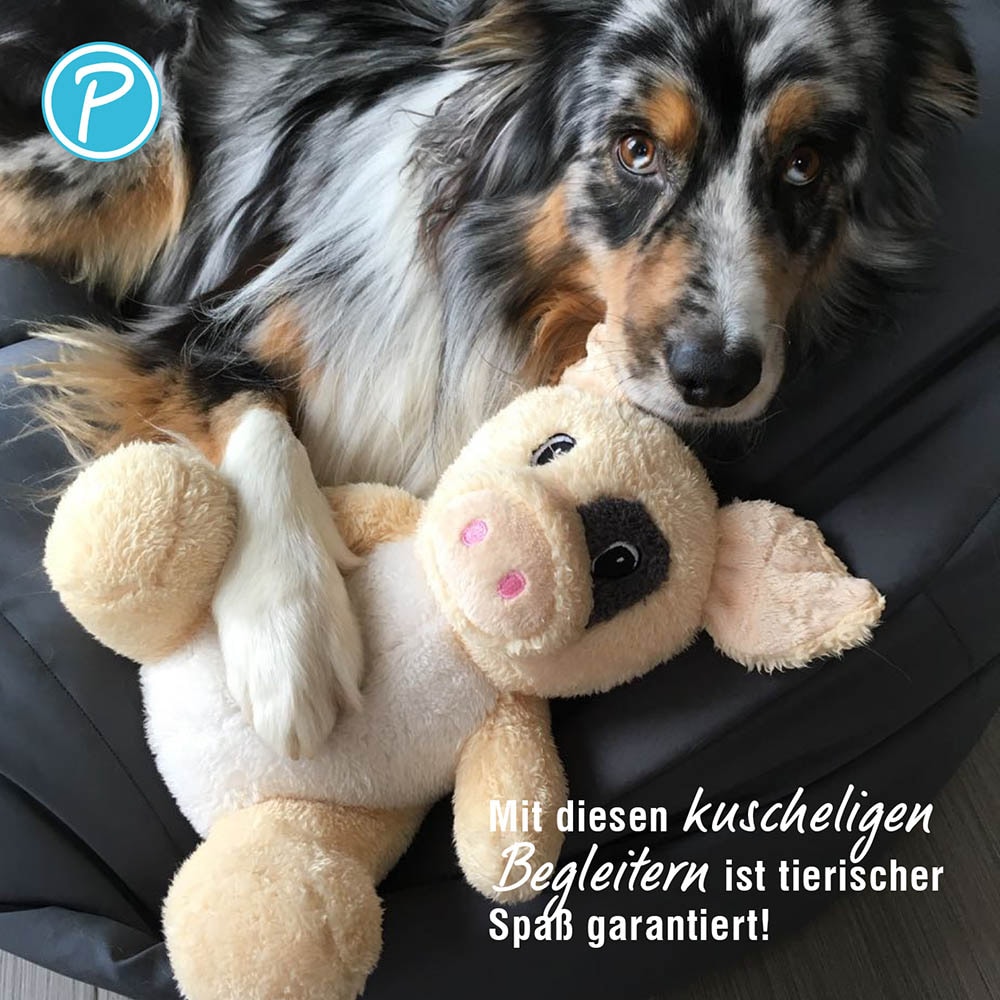 Petlando Moodles Kuscheltier Schwein Spencer_3
