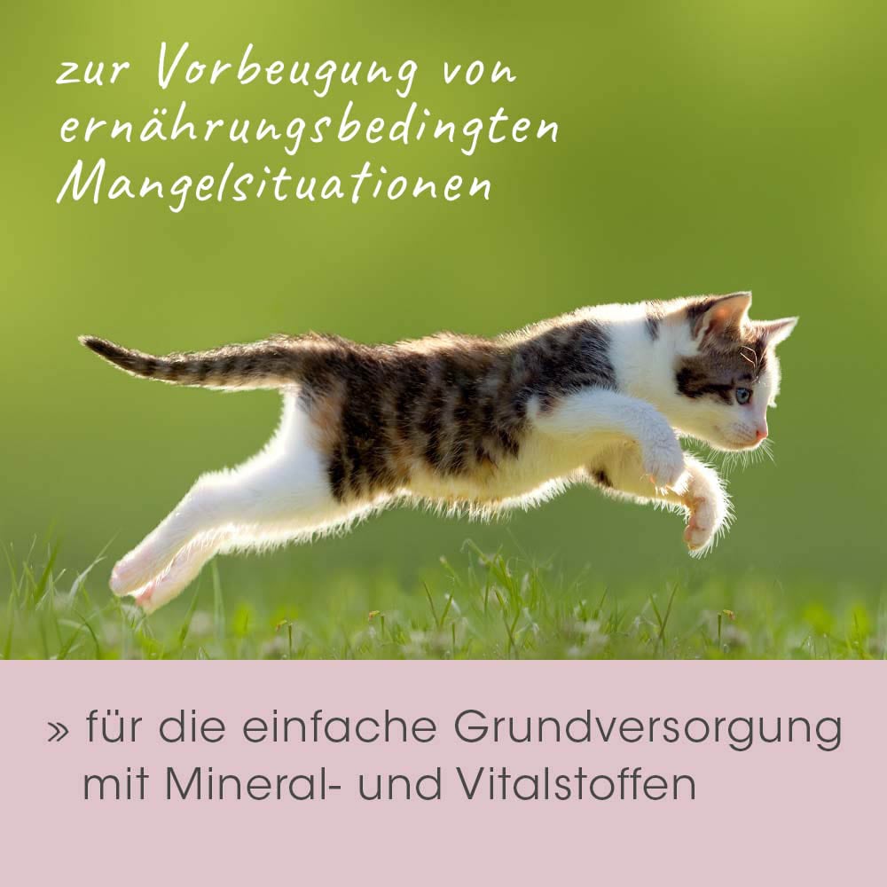 cdVet feliTATZ MineralKraft_2