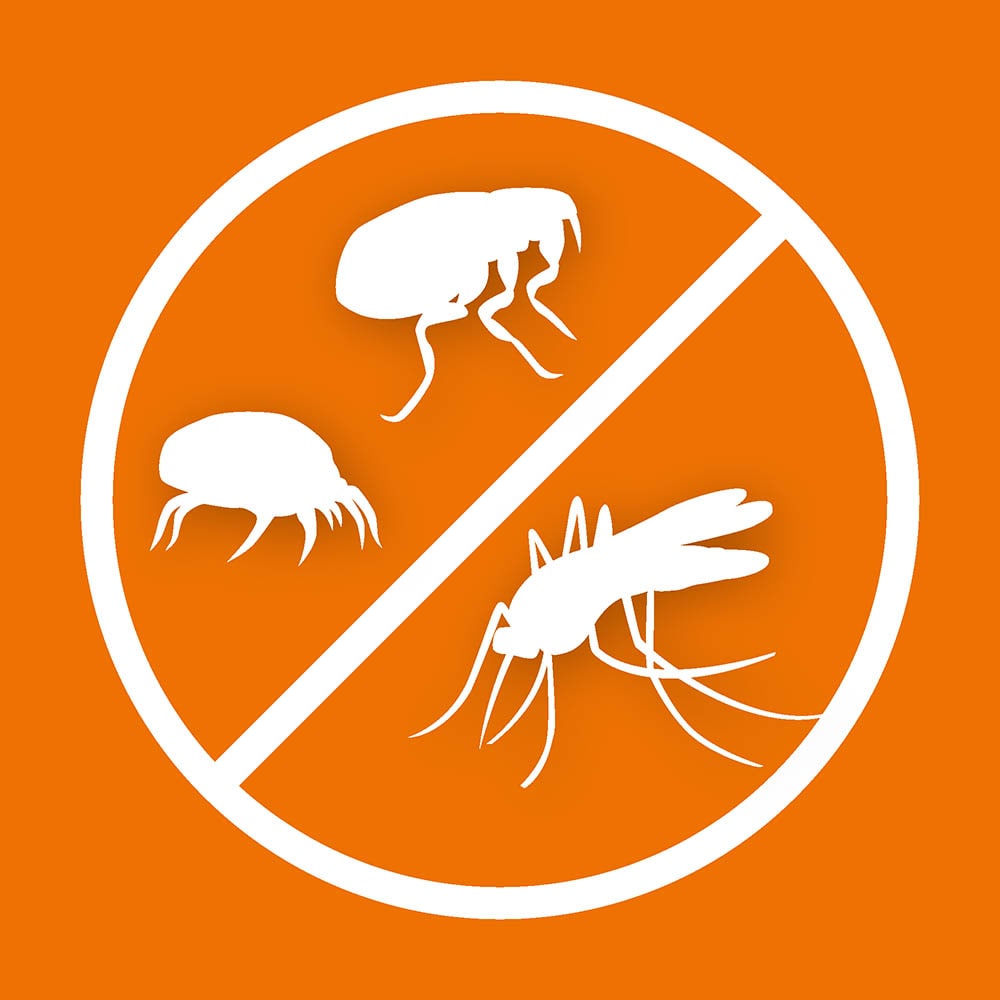 Ardap Fogger - Ungeziefervernebler_4