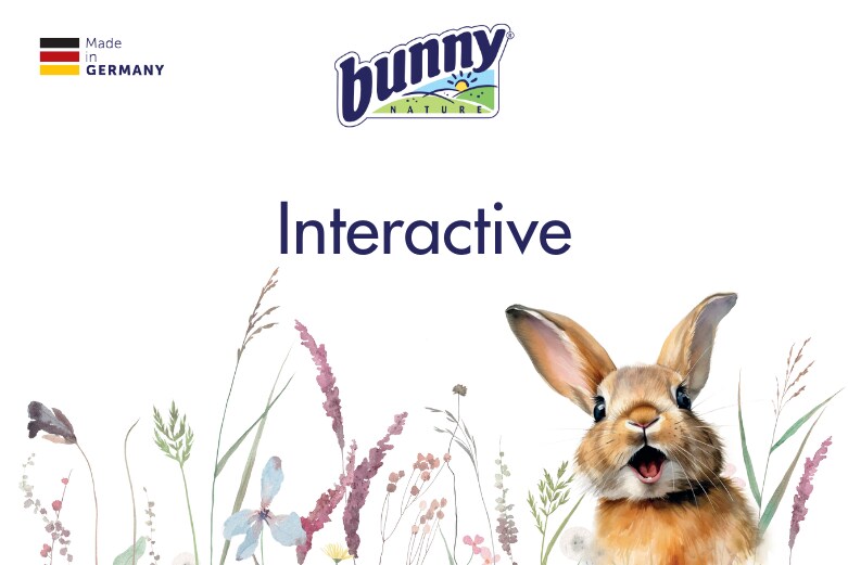 Interactive Interactive