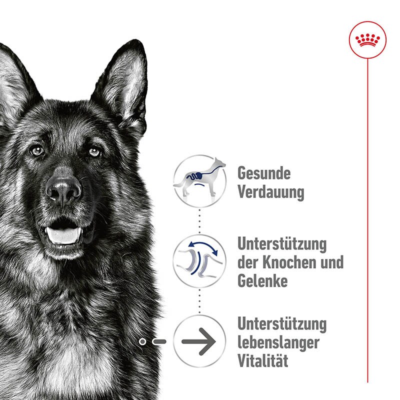 Royal Canin Maxi Ageing Feuchtnahrung als Stückchen in Soße (>5. Lebensjahr)_1