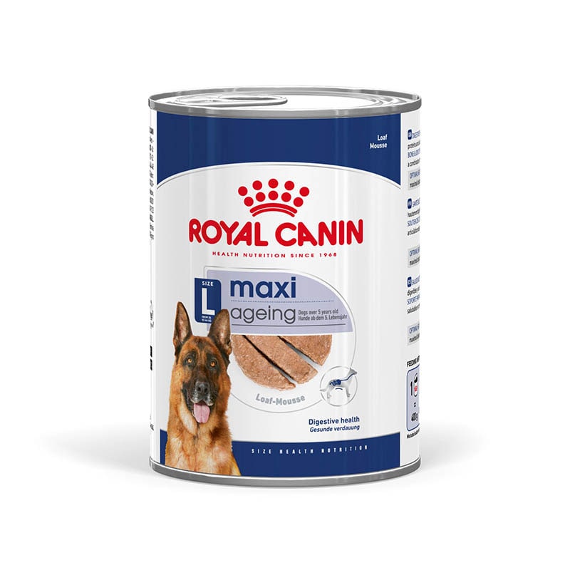 Royal Canin Maxi Ageing Feuchtnahrung als Mousse (>5. Lebensjahr)_0
