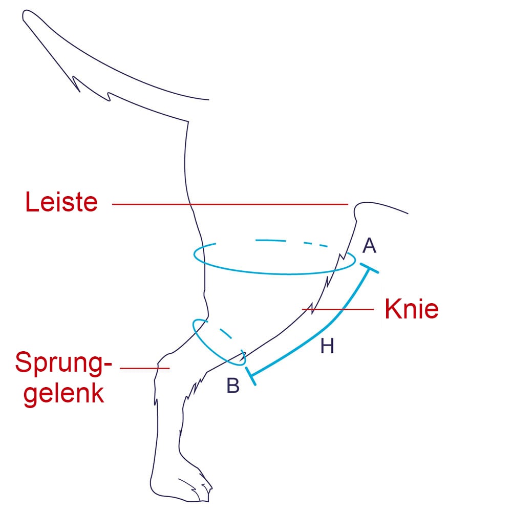 Balto Rehab-Orthese BT Jump rechts_2