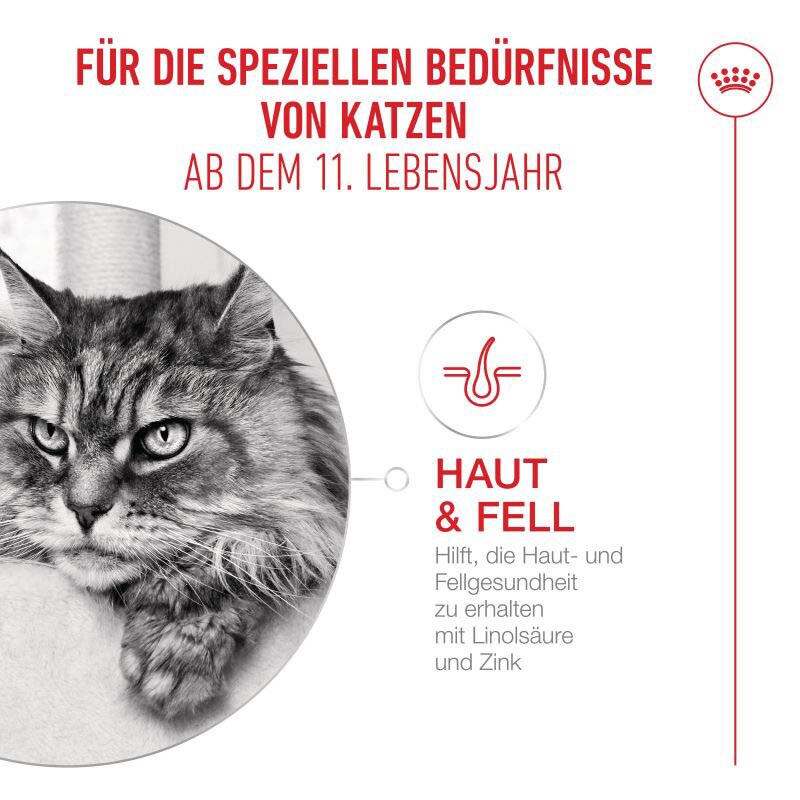 Royal Canin Ageing 11+ Ultra Soft Mousse Feuchtnahrung für Katzen_1