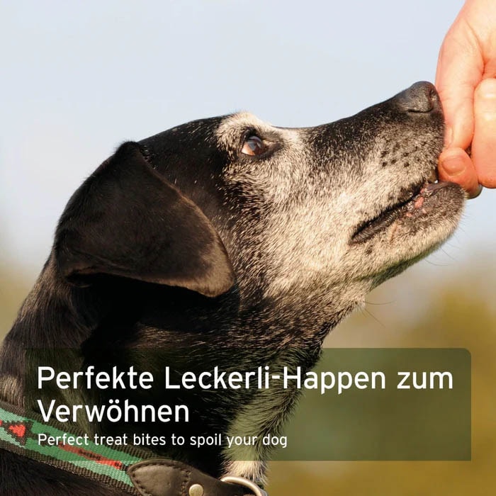 AniForte Dog Snacks Pferd_4