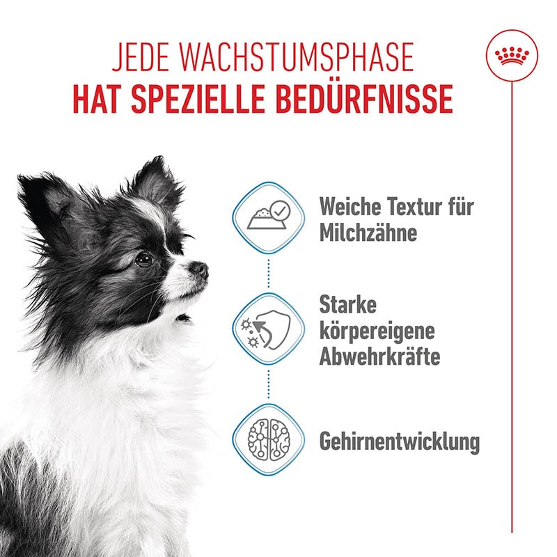 Royal Canin Puppy Feuchtnahrung für sehr kleine Hundewelpen (<10. Lebensmonat)_3