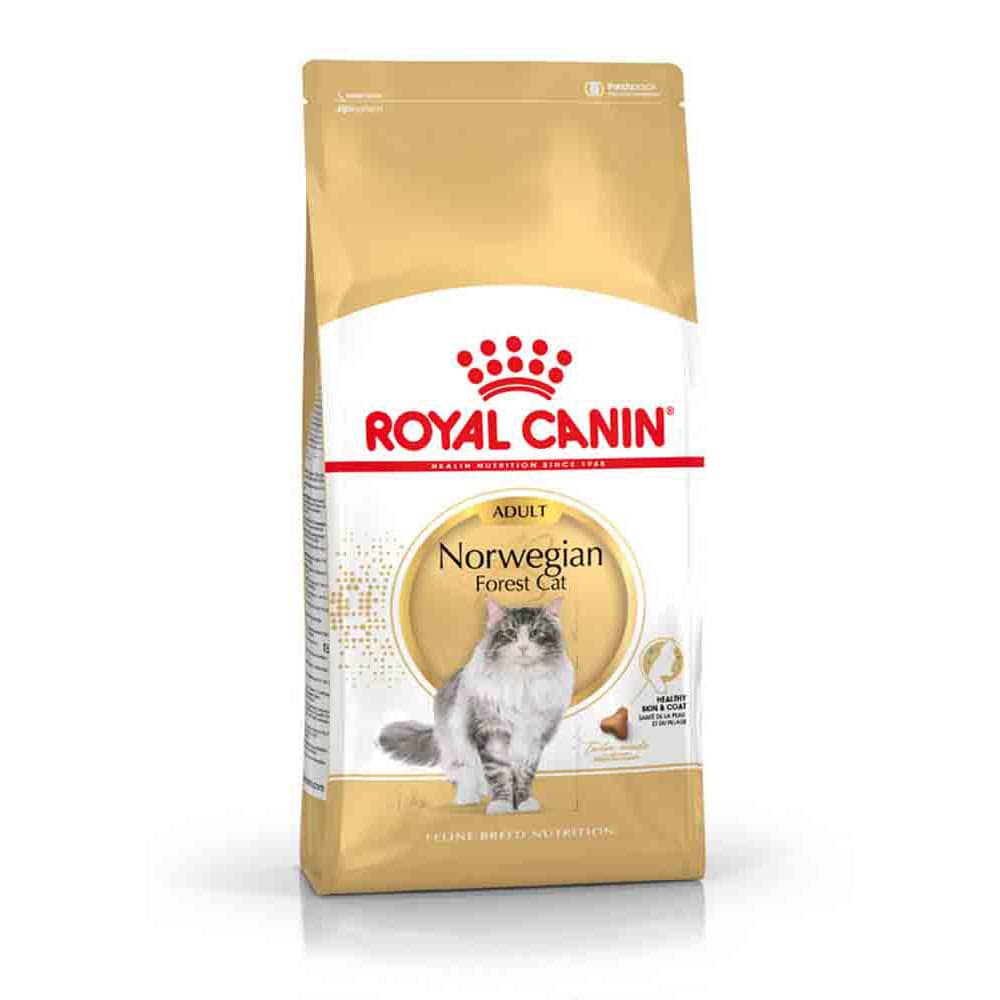 Royal Canin Norwegian Forest Cat Adult Trockenfutter für Norwegische Waldkatzen_1