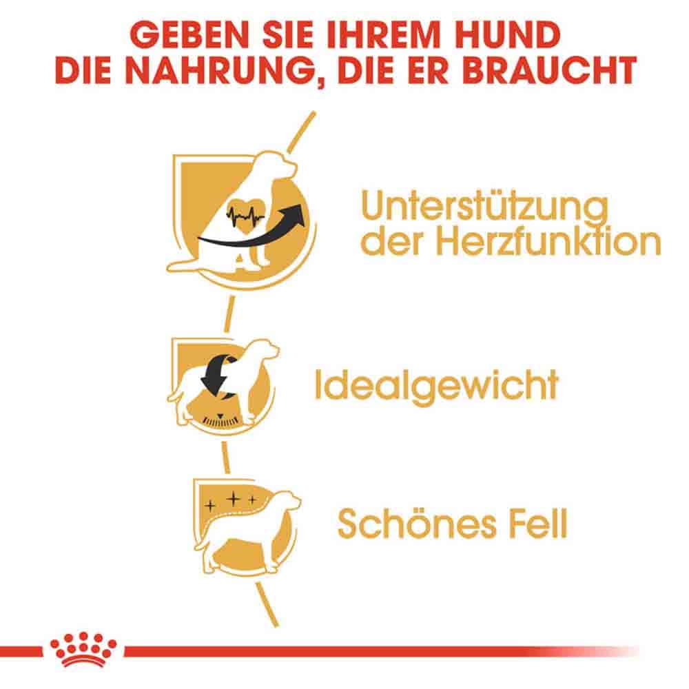 Royal Canin Cavalier King Charles Adult Hundefutter trocken_3